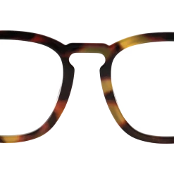 Blenders Eyewear Caleb Tiger
