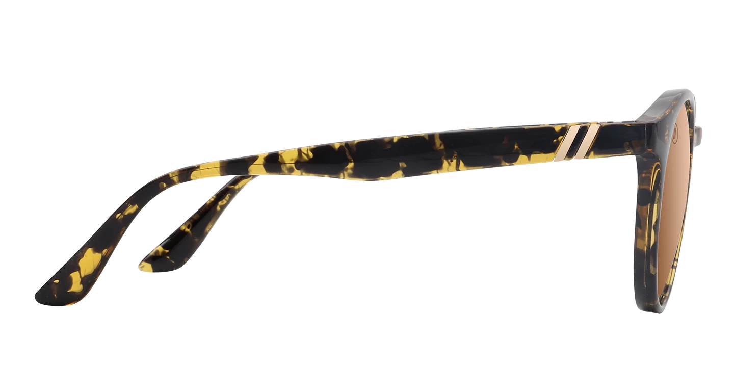 Blenders Eyewear Slim Tiger 5 Blenders Eyewear Slim Tiger - Image 3