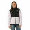 The North Face Women's Denali Jacket -Blenders Shop fw23 tnf womensdenalijacket lavendarfog model1